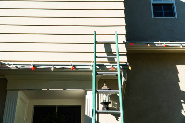 Best Siding Painting and Refinishing  in Brice Prairie, WI
