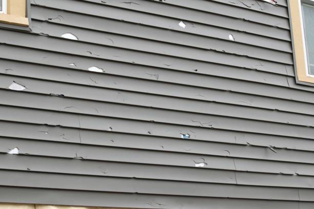 Best Custom Siding Design  in Brice Prairie, WI